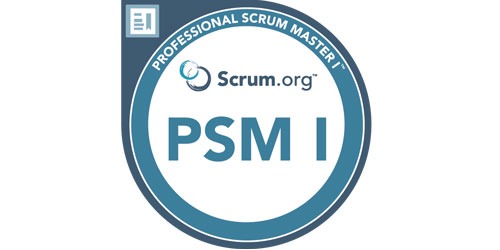 logo-The-Professional-Scrum-Master sinnzwei referenzen